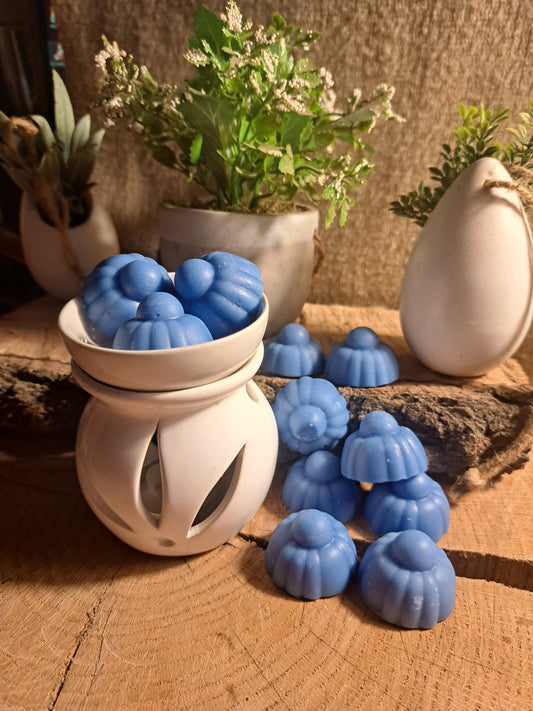 FONDANT PARFUMÉ ± 10G : FRUITÉ