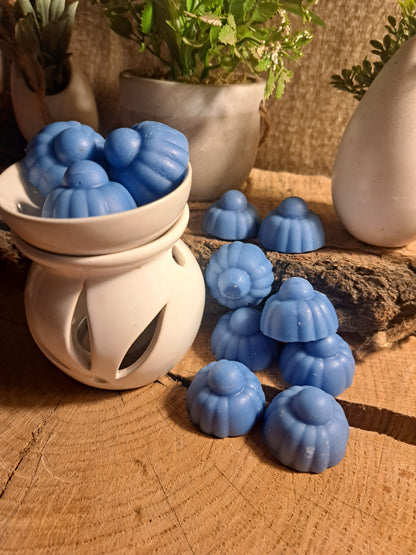 FONDANT PARFUMÉ ± 10G : FRUITÉ