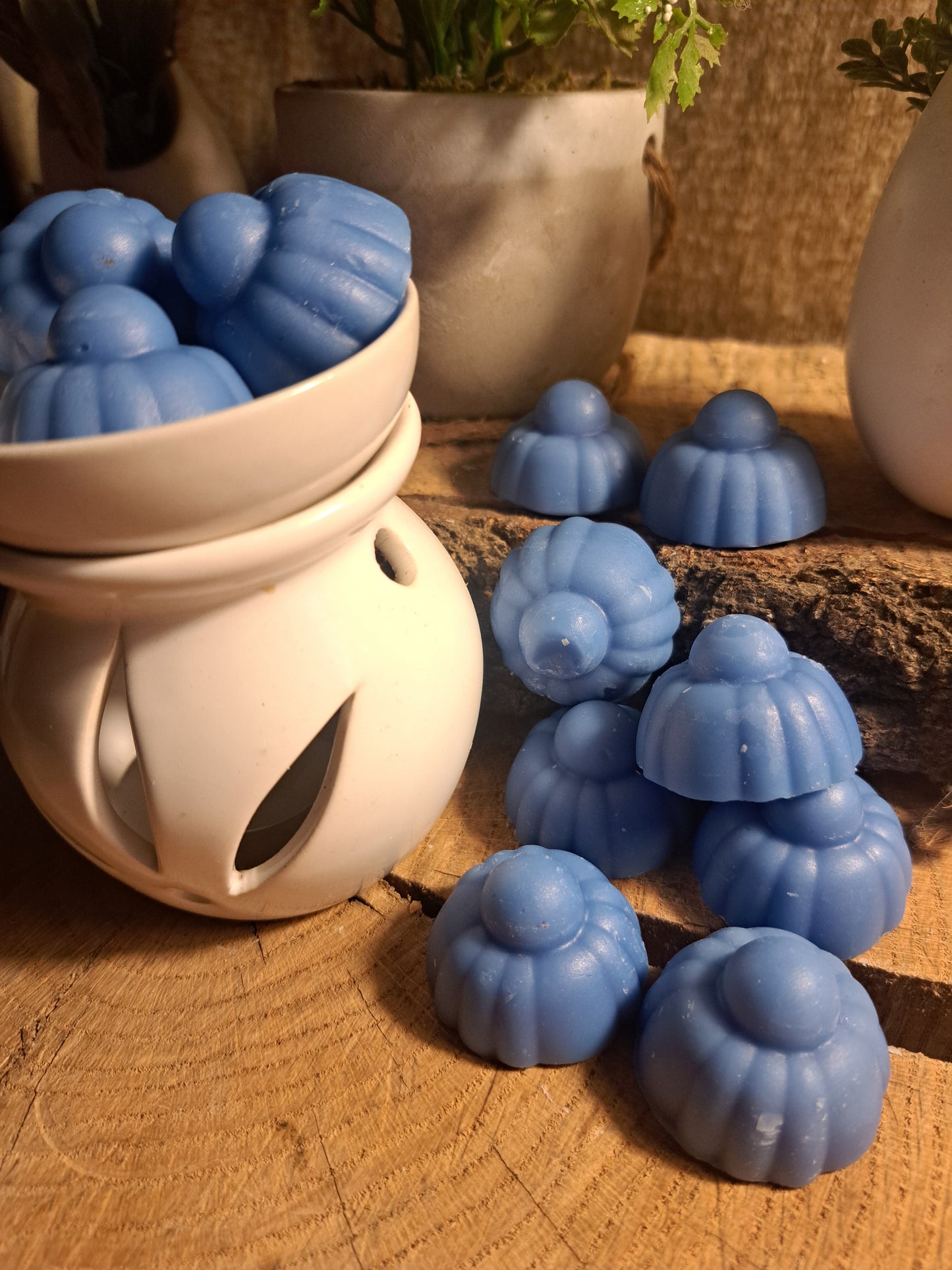 FONDANT PARFUMÉ ± 10G : FRUITÉ