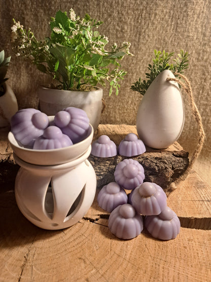FONDANT PARFUMÉ ± 10G : FÉÉRIE MAGIQUE