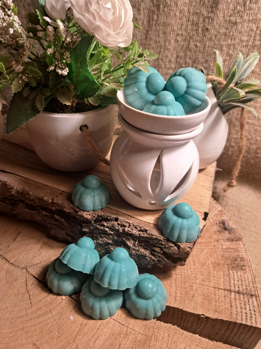 FONDANT PARFUMÉ ± 10G : FESTIF